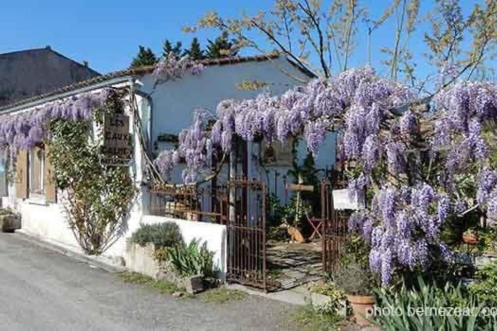 Maison Coquelicots - 4 Personnes - Jardin Mornac-sur-Seudre Luaran gambar
